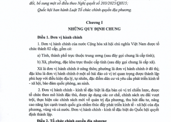 Luật Tổ chức chính quyền địa phương (sửa đổi) (Luật số 72/2025/QH15, có hiệu lực thi hành từ ngày 16 tháng 6 năm  2025)