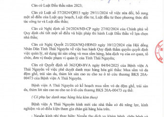 Thông báo mời chào hàng gói thầu: Mua sắm vỏ da đệm ghế, trải sàn da, thảm lót sàn cao su cho xe ô tô cứu thương BKS 20A-00473 của Bệnh viện A Thái Nguyên