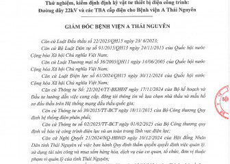 Quyết định về việc phê duyệt kết quả lựa chọn nhà thầu gói thầu: Thử nghiệm, kiểm định định kỳ vật tư thiết bị điện công trình: Đường dây 22kV và các TBA cấp điện cho Bệnh viện A Thái Nguyên