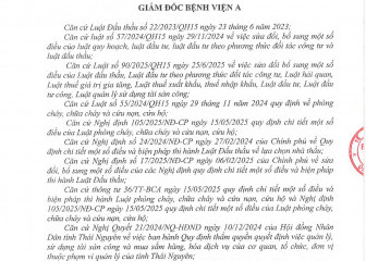 Quyết định về việc phê duyệt kết quả lựa chọn nhà thầu gói thầu: Đo điện trở nối đất hệ thống thu lôi chống sét của Bệnh viện A