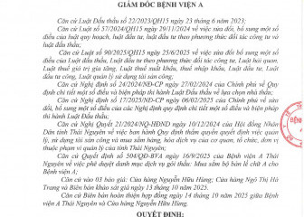 Quyết định về việc phê duyệt kết quả lựa chọn nhà thầu gói thầu: Mua sắm bộ bản lề chữ A cho Bệnh viện A