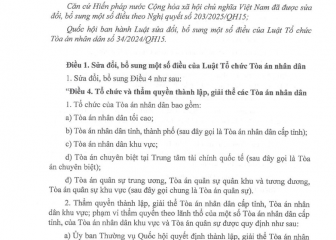 Luật sửa đổi, bổ sung một số điều của Luật Tổ chức Tòa án nhân dân (Luật số 81/2025/QH15, có hiệu lực thi  hành từ ngày 01 tháng 7 năm 2025)