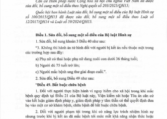 Luật sửa đổi, bổ sung một số điều của Bộ luật hình sự (Luật số 86/2025/QH15, có hiệu lực thi hành từ ngày 01 tháng  7 năm 2025)