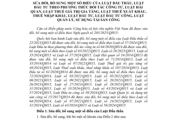 Luật sửa đổi, bổ sung một số điều của Luật Đấu thầu; Luật Đầu tư theo phương thức đối tác công tư; Luật Hải  quan; Luật Thuế xuất khẩu, Luật Đầu tư; Luật Quản lý, sử dụng tài sản công  (Luật số 90/2025/QH15): Nội dung về Luật Hải quan