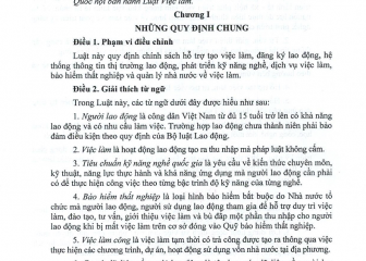 Luật Việc làm (sửa đổi) (Luật số 74/2025/QH15, có hiệu lực thi hành từ ngày 01 tháng 01 năm 2026)
