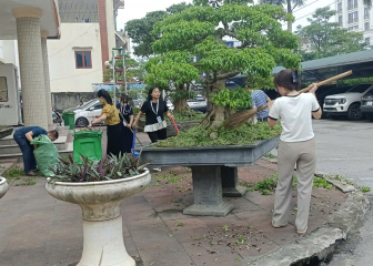 Bệnh viện A hưởng ứng ngày thế giới chống sa mạc hóa và hạn hán năm 2026