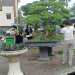 Bệnh viện A hưởng ứng ngày thế giới chống sa mạc hóa và hạn hán năm 2026
