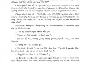 Thông báo về việc lựa chọn tổ chức hành nghề đấu giá tài sản