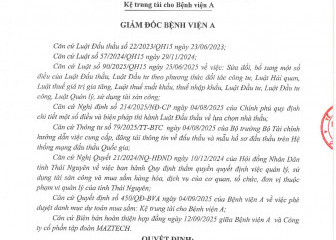 Quyết định về việc phê duyệt kết quả lựa chọn nhà thầu gói thầu: Kệ trung tải cho Bệnh viện A