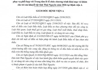 Quyết định về việc phê duyệt kết quả lựa chọn nhà thầu gói thầu: Thuê mặt sàn sân khấu, back drop sân khấu...phối hợp với Trung tâm II tổ chức chương trình khai mạc và khám cho trẻ em khuyết tật tỉnh Thái Nguyên năm 2026