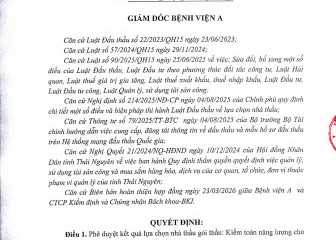 Quyết định về việc phê duyệt kết quả lựa chọn nhà thầu gói thầu: Kiểm toán năng lượng cho Bệnh viện A