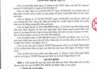 Quyết định về việc phê duyệt kết quả lựa chọn nhà thầu gói thầu: Mua sắm còi ưu tiên, đèn ưu tiên cho xe ô tô BKS 20A-0656 của Bệnh viện A