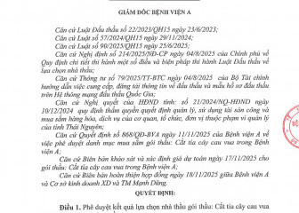 Quyết định về việc phê duyệt kết quả lựa chọn nhà thầu gói thầu: Cắt tỉa cây cau vua trong Bệnh viện A