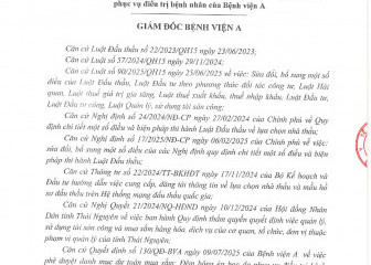 Quyết định về việc phê duyệt kết quả lựa chọn nhà thầu gói thầu: Đệm bông ép bọc da phục vụ điều trị bệnh nhân của Bệnh viện A