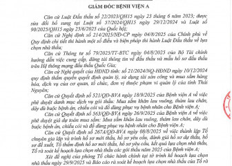 Quyết định về việc phê duyệt kế hoạch lựa chọn nhà thầu dự toán mua sắm cho gói thầu: Mua sắm khăn lau vuông, thảm lau chân, dây dù buộc bệnh án, chiếu cói và đồ dùng phục vụ bệnh nhân cho Bệnh viện A