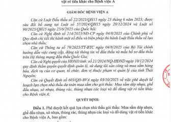 Quyết định về việc phê duyệt kế hoạch lựa chọn nhà thầu của gói thầu: Mua sắm dép nhựa, ghế đẩu nhựa, xô nhựa, thùng rác, thùng nhựa các loại và đồ dùng vật rẻ tiền khác cho Bệnh viện A