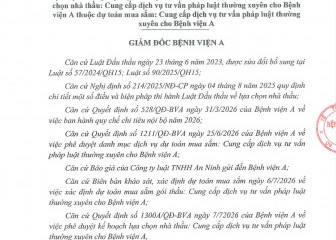 Quyết định về việc phê duyệt kết quả lựa chọn nhà thầu qua mạng gói thầu: Cung cấp dịch vụ tư vấn pháp luật thường xuyên cho Bệnh viện A