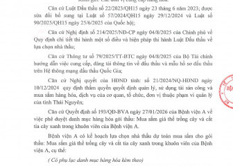 Thông báo mời chào giá gói thầu: Mua sắm giá thể trồng cây và cắt tỉa cây xanh trong khuôn viên của Bệnh viện A