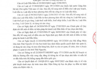 Thông báo mời chào giá gói thầu: Mua sắm đệm bông ép bọc da phục vụ điều trị bệnh nhân của Bệnh viện A