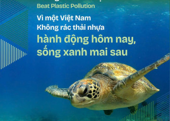 Bệnh viện A: Hưởng ứng ngày môi trường thế giới 2025(05/6/2025)